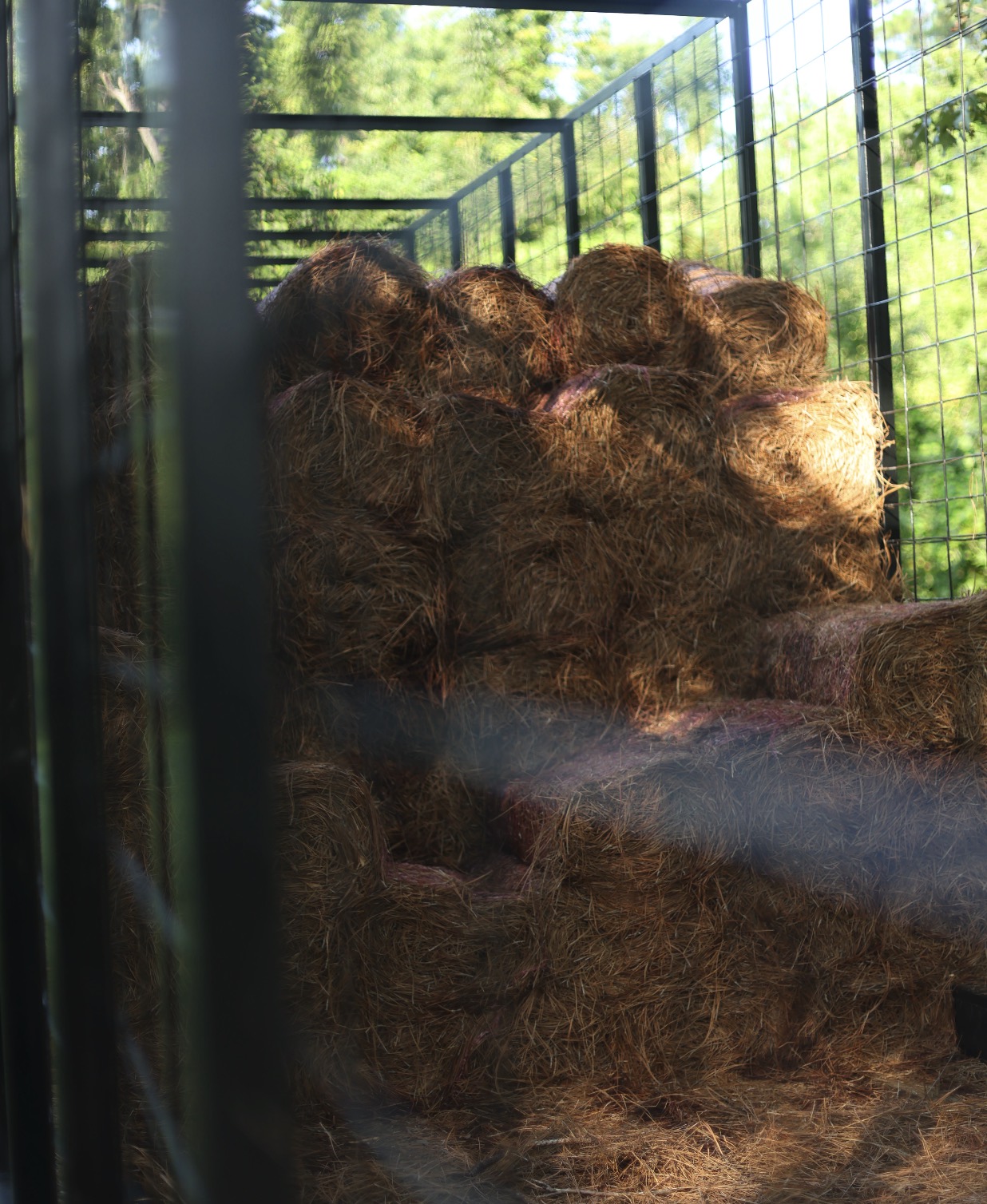 Bales of pine straw stacked in a caged trailer